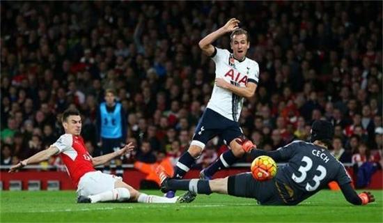 基层训练苗 基层训练苗